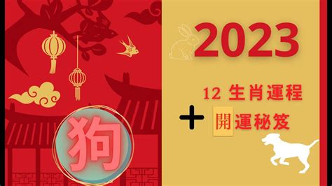 豬 2023 運勢|陳定幫2023兔年運程｜屬雞、狗、豬篇十二生肖運勢 